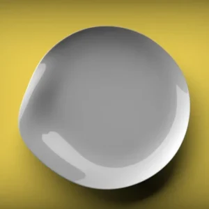 Acheter Direct Assiette plate rond blanc porcelaine vitrifiée Ø 25 cm Moving Astera