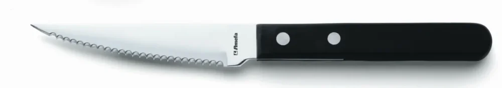 Must-Have Couteau à steak cranté 21 cm Elite Pro.mundi