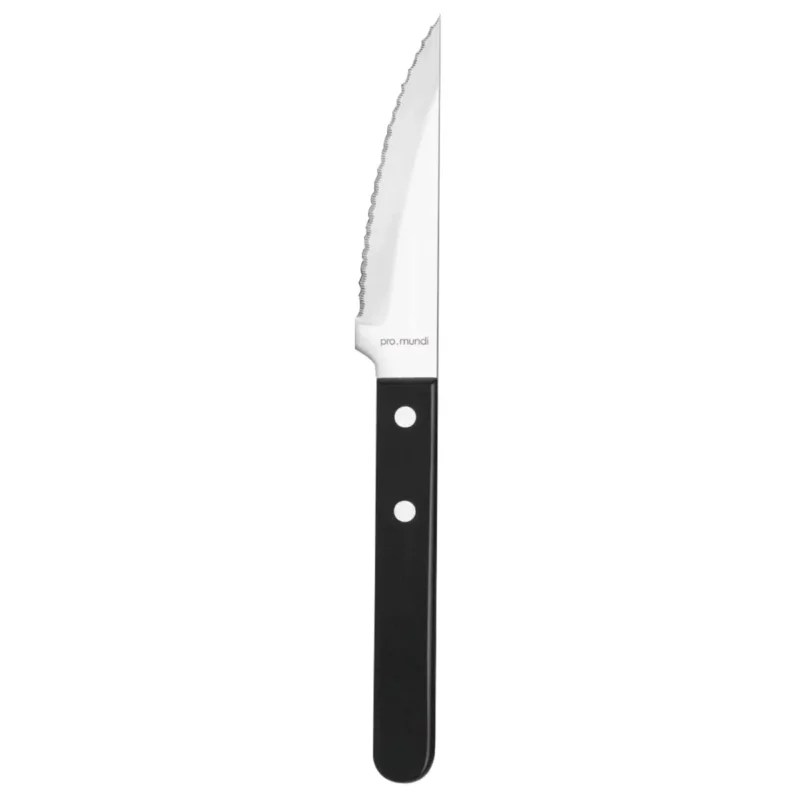Couteau à steak noir 24,7 cm Tenor Pro.mundi Offre Spéciale