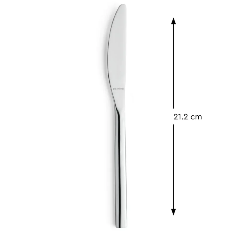 Offre Exclusive Couteau de table monobloc cranté 21,2 cm Riviera Pro.mundi