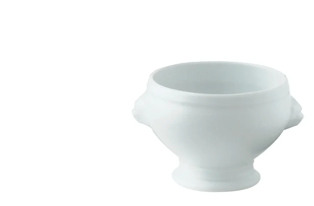 Meilleur Choix Soupière tête de lion rond blanc porcelaine Ø 12 cm Bistronome Pro.mundi