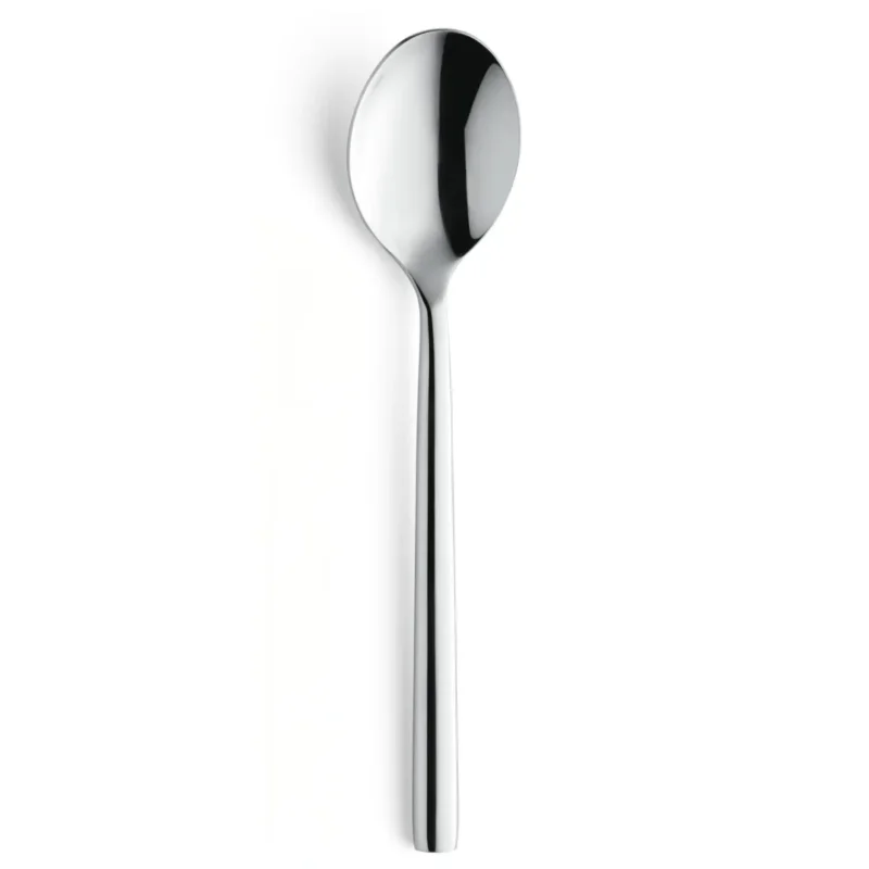 Prix Promo Cuillère de table inox 18/0 19,7 cm Riviera Pro.mundi