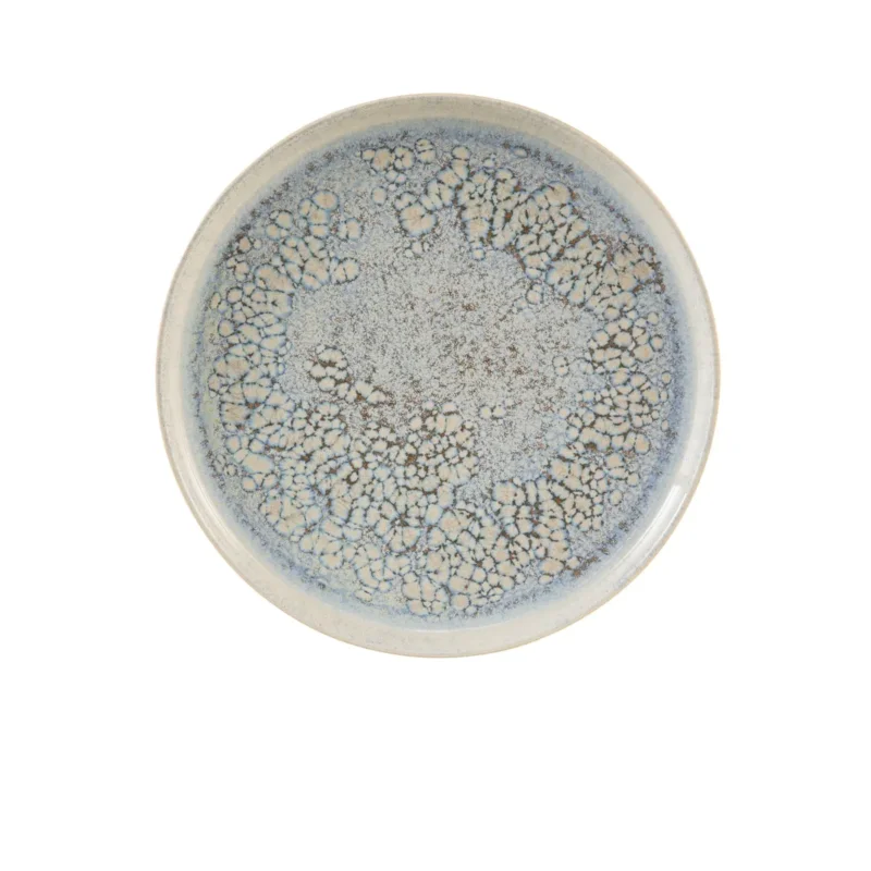 Offre Exclusive Assiette plate rond gris grès émaillé Ø 28 cm Tropic Accolade