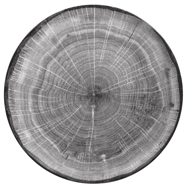 Assiette coupe plate rond beech porcelaine vitrifiée Ø 26,7 cm Woodart Rak Commande En Gros