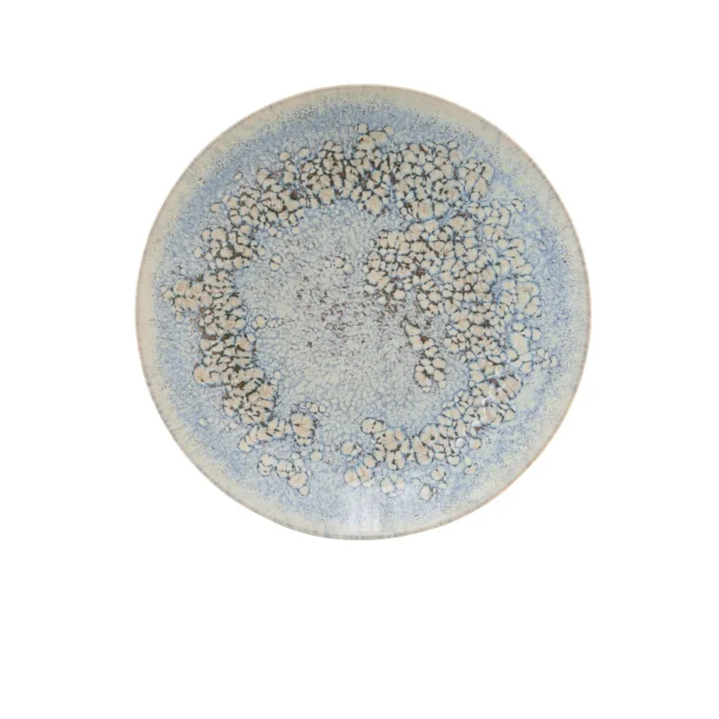 Satisfait Ou Remboursé Assiette coupe rond gris grès émaillé Ø 27 cm Tropic Accolade