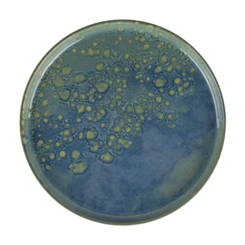 Assiette plate rond bleu grès émaillé Ø 22 cm Magic Accolade Livraison Express