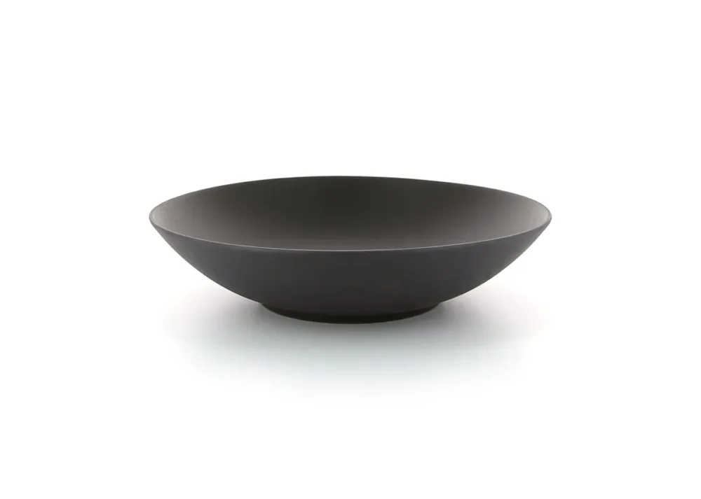 Promotion Saisonnière Assiette coupe creuse rond noir porcelaine culinaire Ø 24 cm Equinoxe Revol
