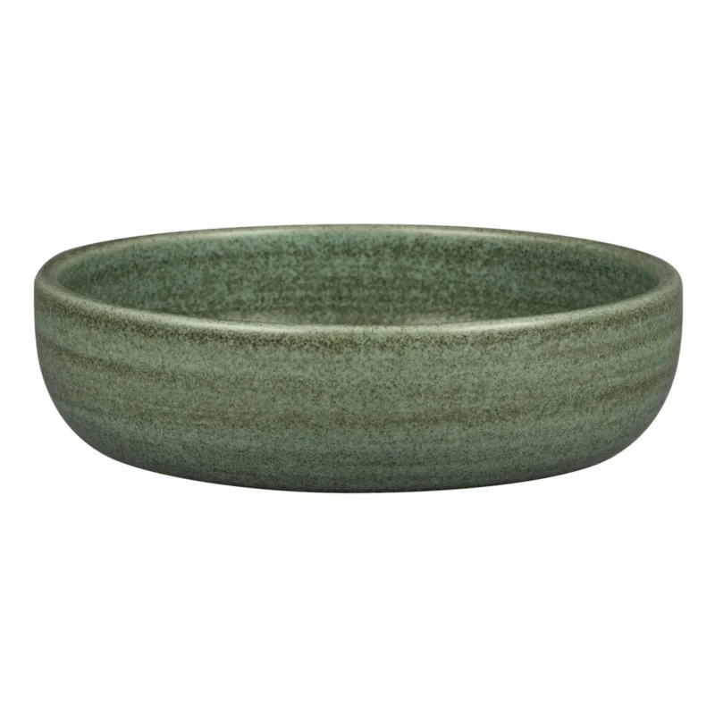 Livraison Gratuite Assiette coupe creuse rond Dark Green porcelaine vitrifiée Ø 16 cm Selva Rak