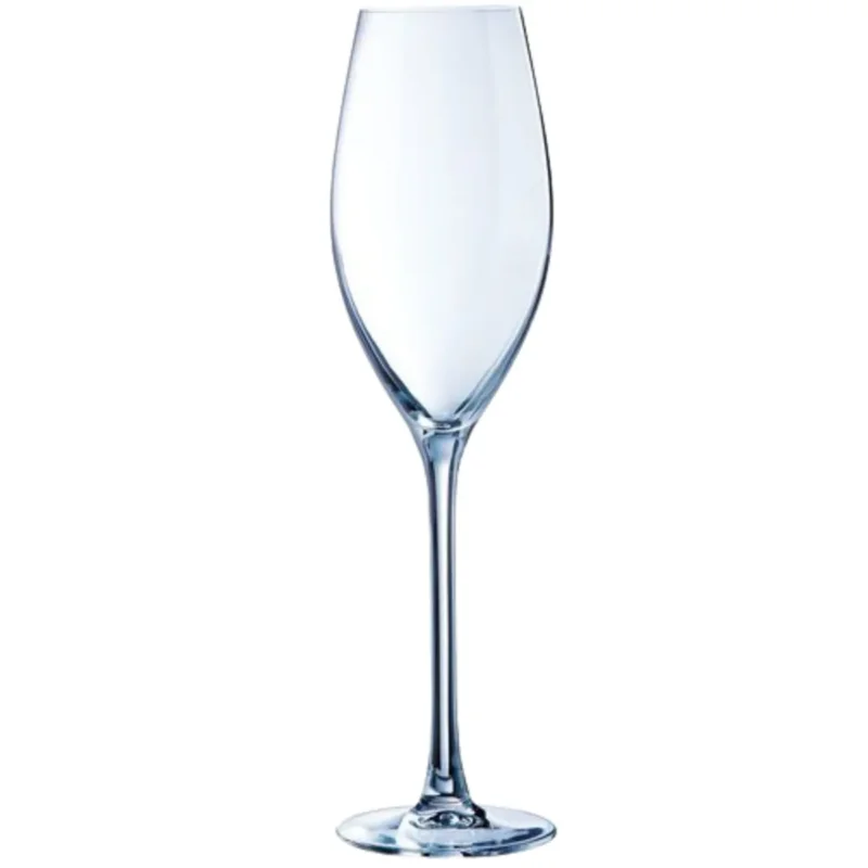 Flûte verre cristallin 24 cl Wine Emotion Cristal D'arques Prix Promo