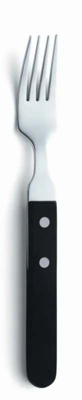 Offre Du Jour Fourchette de table noir inox 18/0 20 cm Elite Pro.mundi