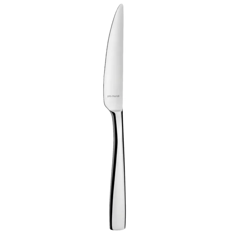 Couteau de table monobloc cranté 22 cm Odyssee Pro.mundi Prix Promo