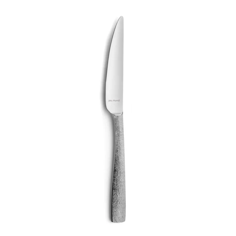 Couteau de table 22 cm Odyssee Ice Pro.mundi Satisfait Ou Remboursé