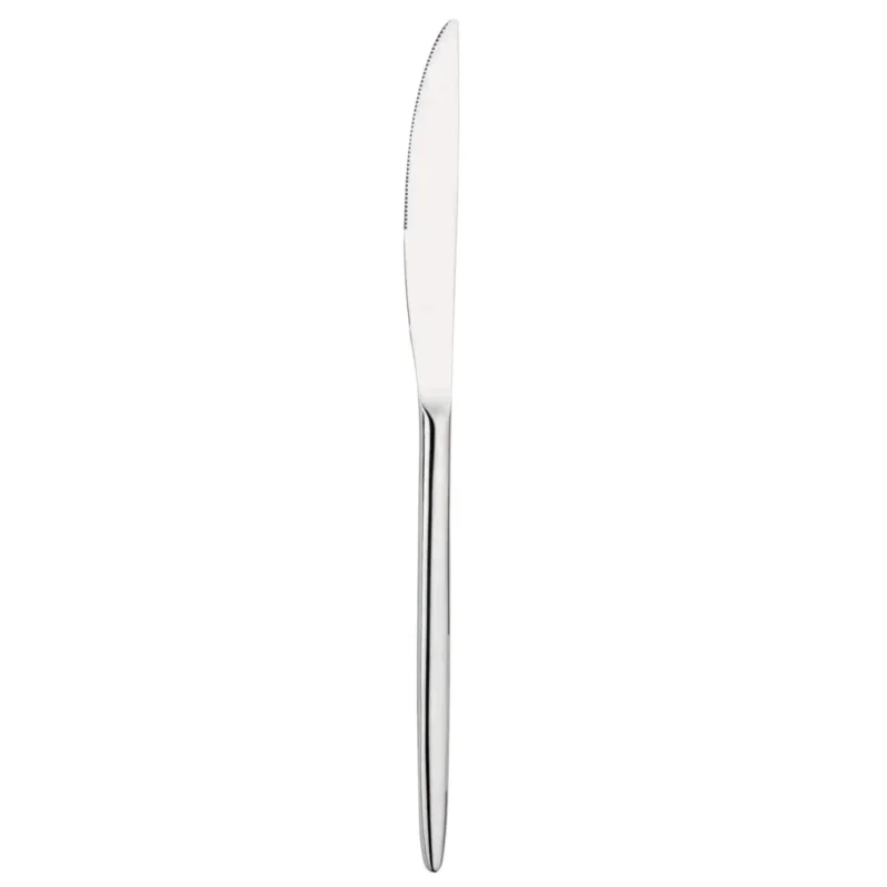Vente Flash Couteau de table monobloc 24,5 cm Livio Pro.mundi