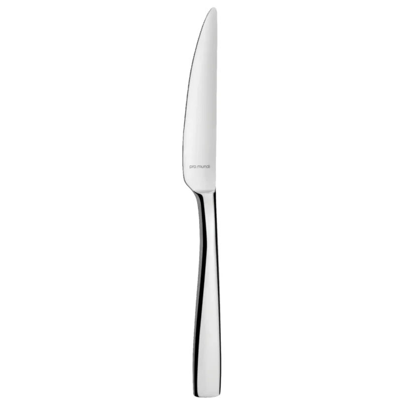 Couteau à dessert monobloc cranté 19,6 cm Odyssee Pro.mundi Prix Cassé