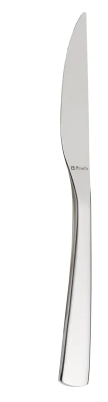 Couteau de table monobloc cranté 22 cm Izia Pro.mundi Prix Choc
