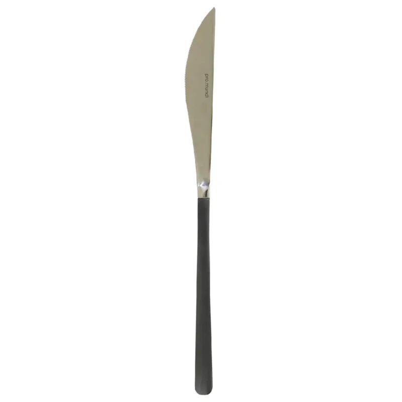 Super Prix Couteau de table monobloc cranté noir 22,7 cm Aroma Pvd Noir Pro.mundi