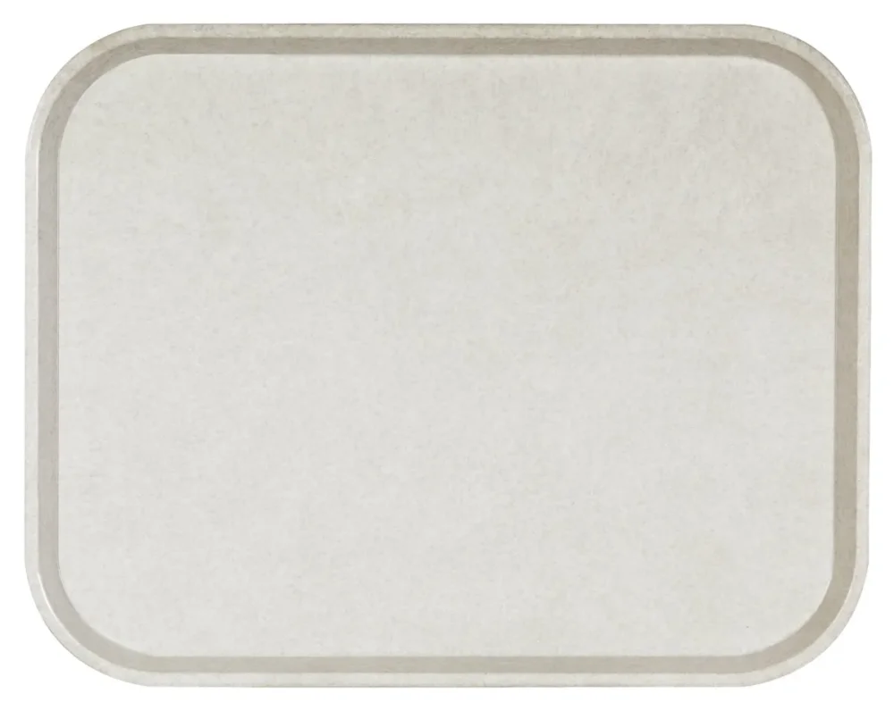 Plateau polyester gris 46x36 cm Poly One Platex Remise