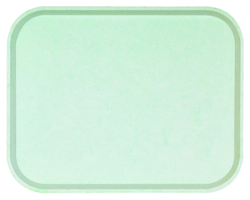Plateau polyester vert 41x30 cm Poly One Platex Prix Réduit