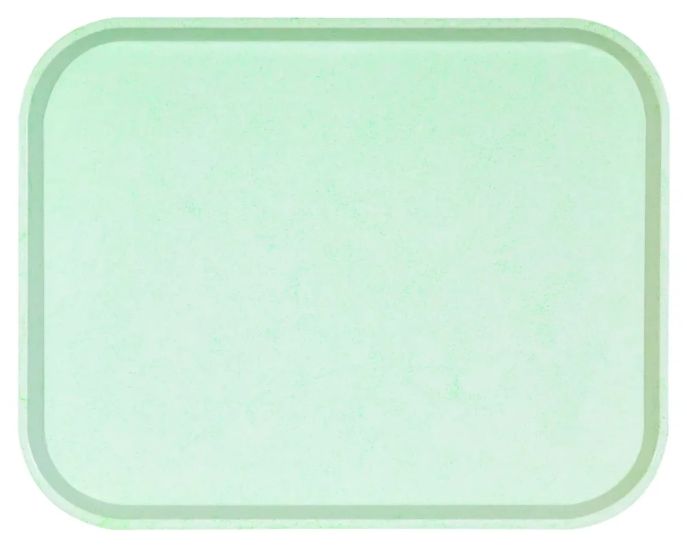 Plateau GN1/2 polyester vert 32x26 cm Poly One Platex Bon Marché