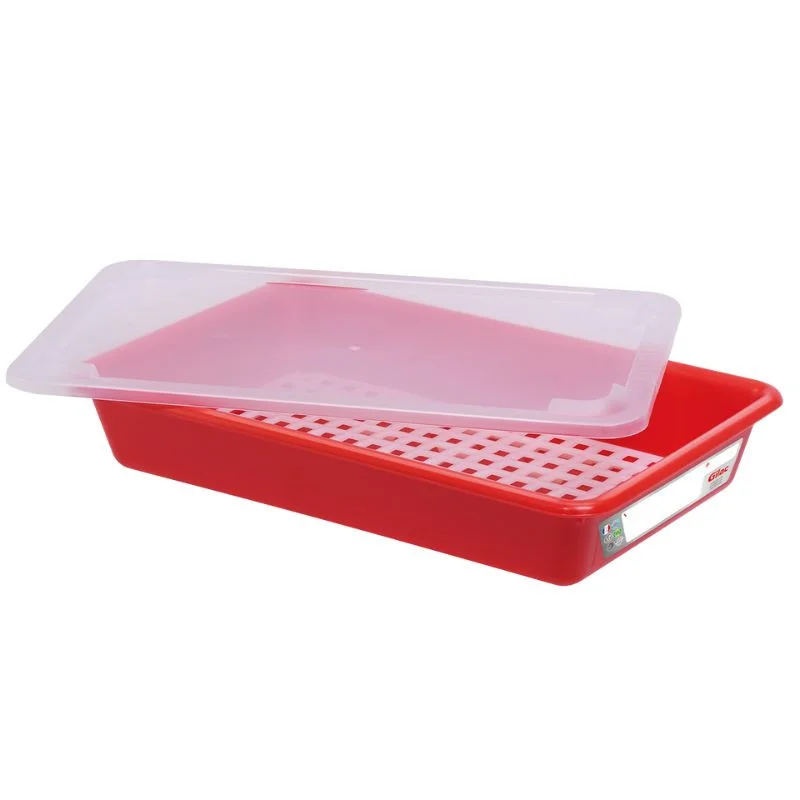 Bac Plat HACCP avec Couvercle et Grille - 5 L - Rouge Meilleure Vente
