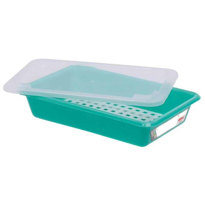Bac Plat HACCP avec Couvercle et Grille - 3 L - Vert Achat Immédiat