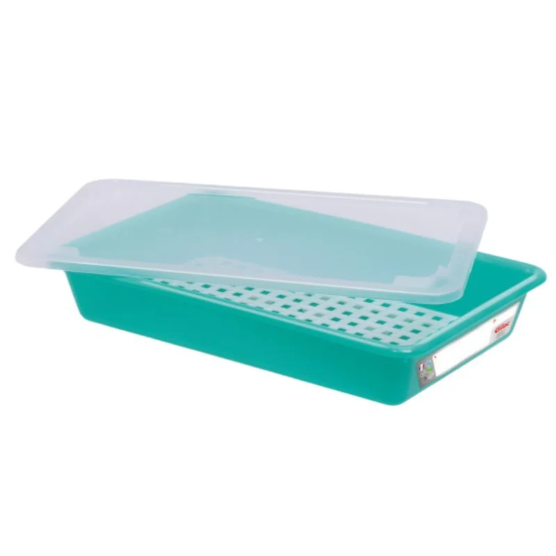 Livraison Gratuite Bac Plat HACCP avec Couvercle et Grille - 5 L - Vert