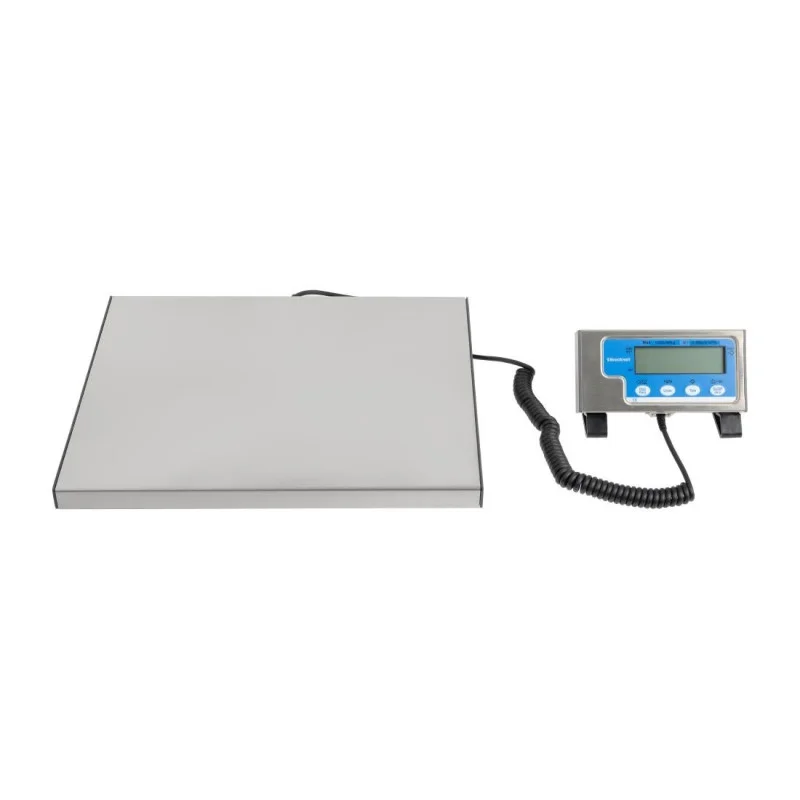 Prix Cassé Balance En Inox 60Kg