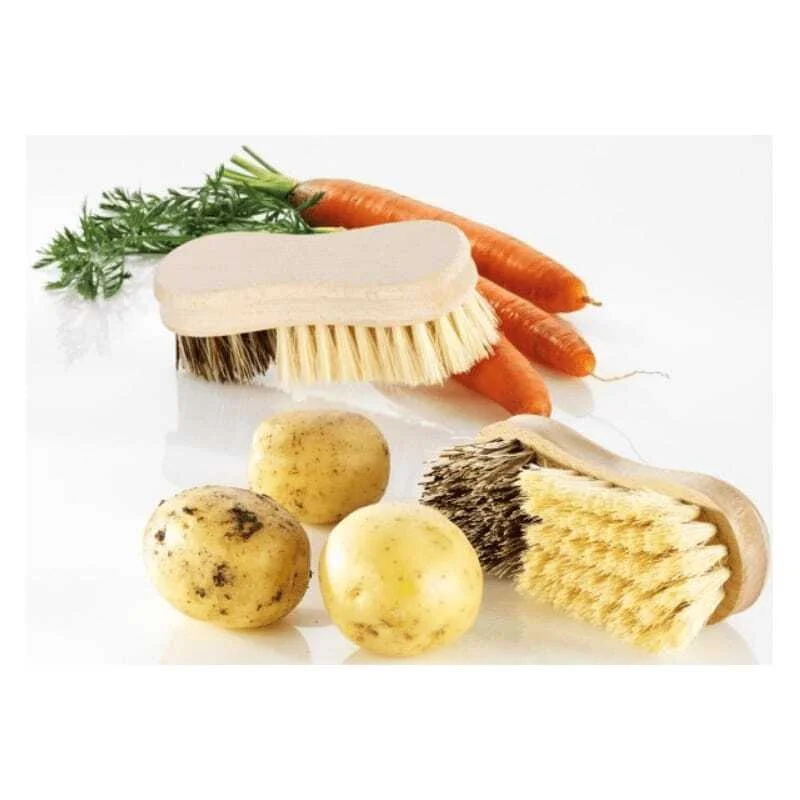 Brosse à Légumes et à Truffes Dernier Modèle