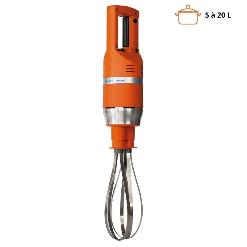 Achat Immédiat Mixeur Master Fouet