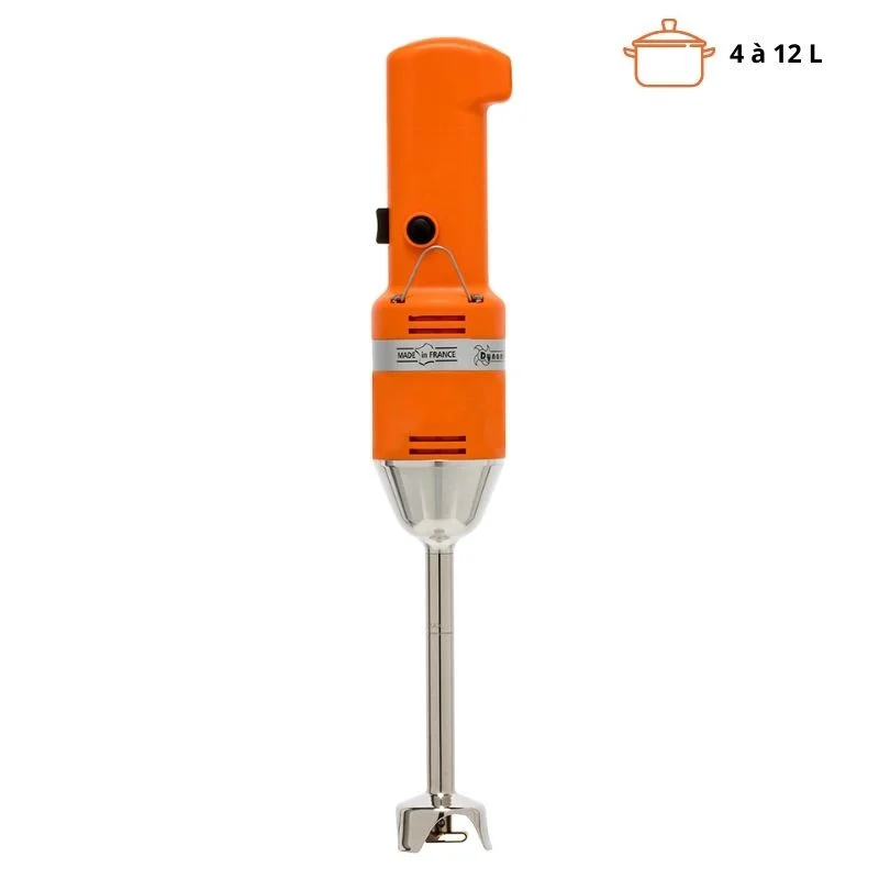Petit Prix Mixeur Plongeant Mini MD95E