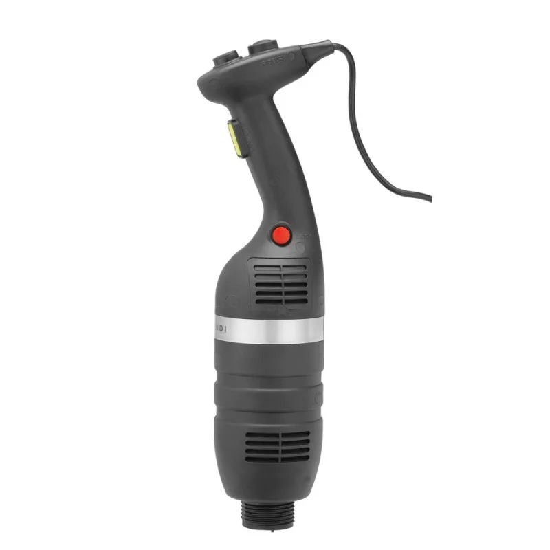 Bloc Moteur Mixeur Plongeant - 350 W Affaire À Saisir