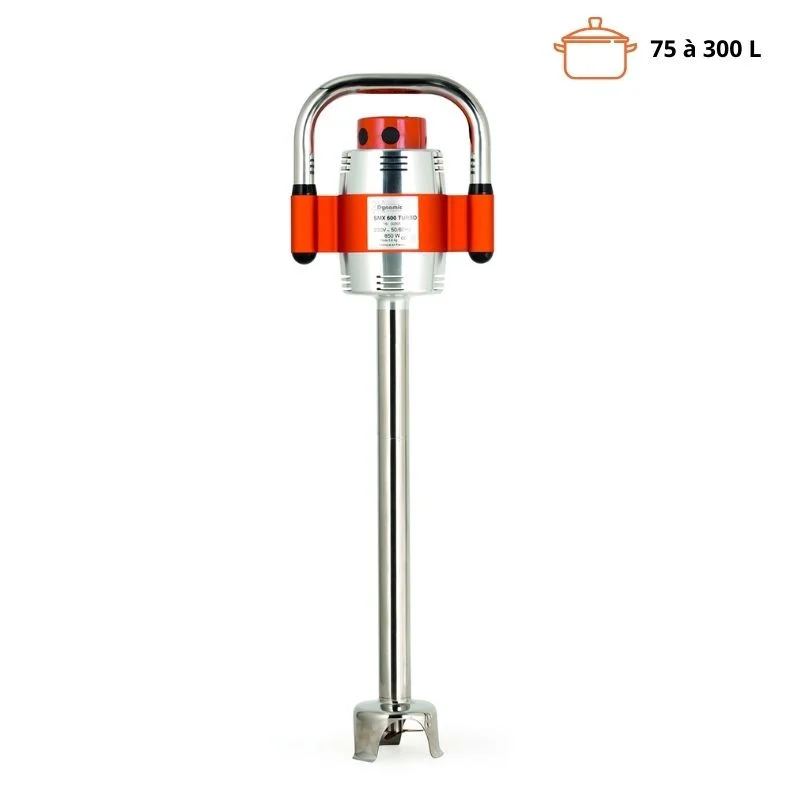 Soldes Mixeur Plongeant SMX 600 Turbo