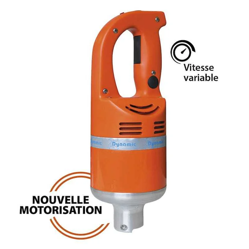 Acheter Direct Bloc moteur Master de 600 W