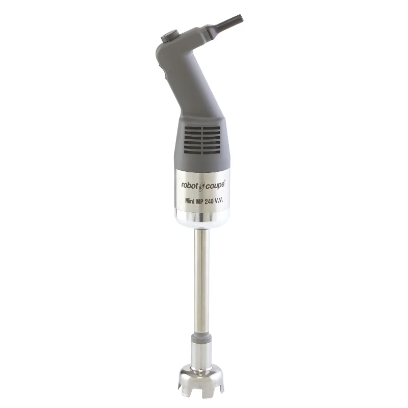 Petit Prix Mixeur Plongeant Mini 240 V.V