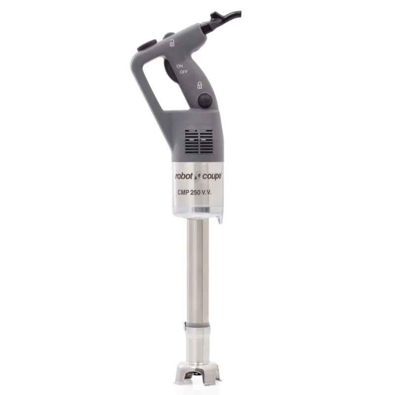 Prix Promo Mixeur Plongeant Compact 250 V.V