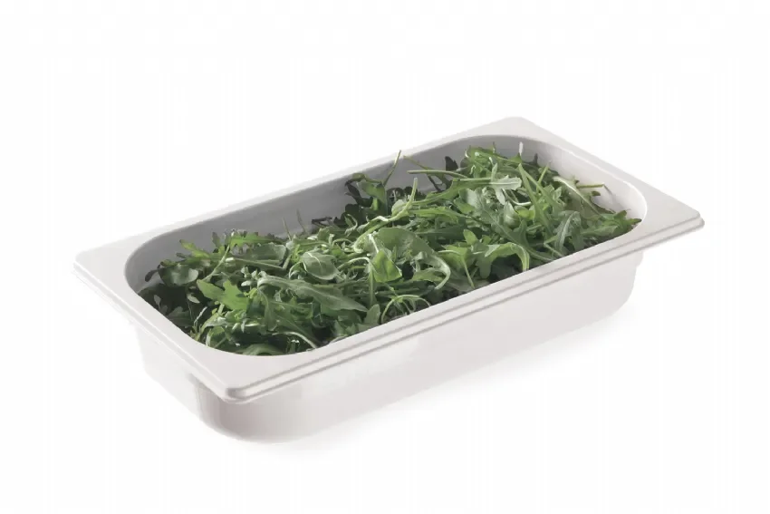 Prix Réduit Bac gastronorme 1/3 862582