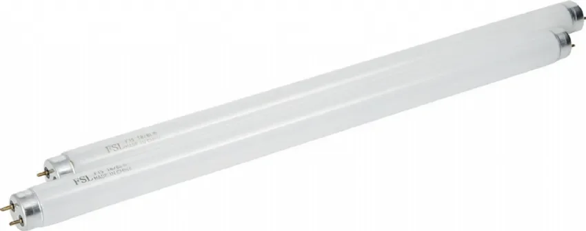 Lampes réchange pourstructeur d´insectes Authentique