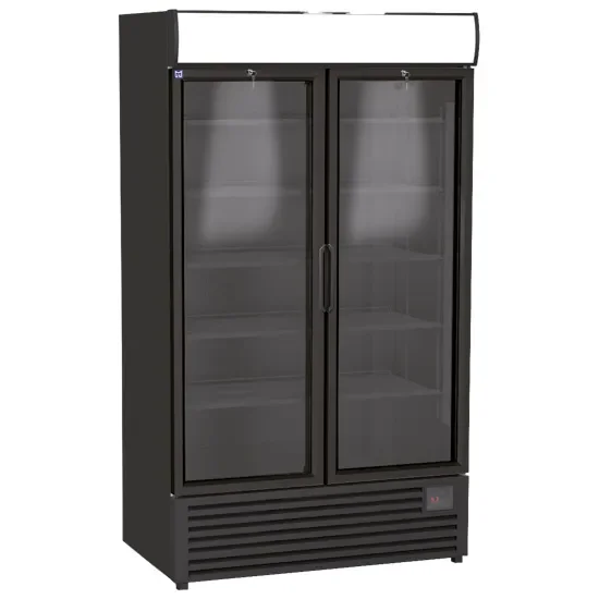 Vitrine réfrigérée verticale noire 2 portes vitrées température +1/+9°c Livraison Gratuite