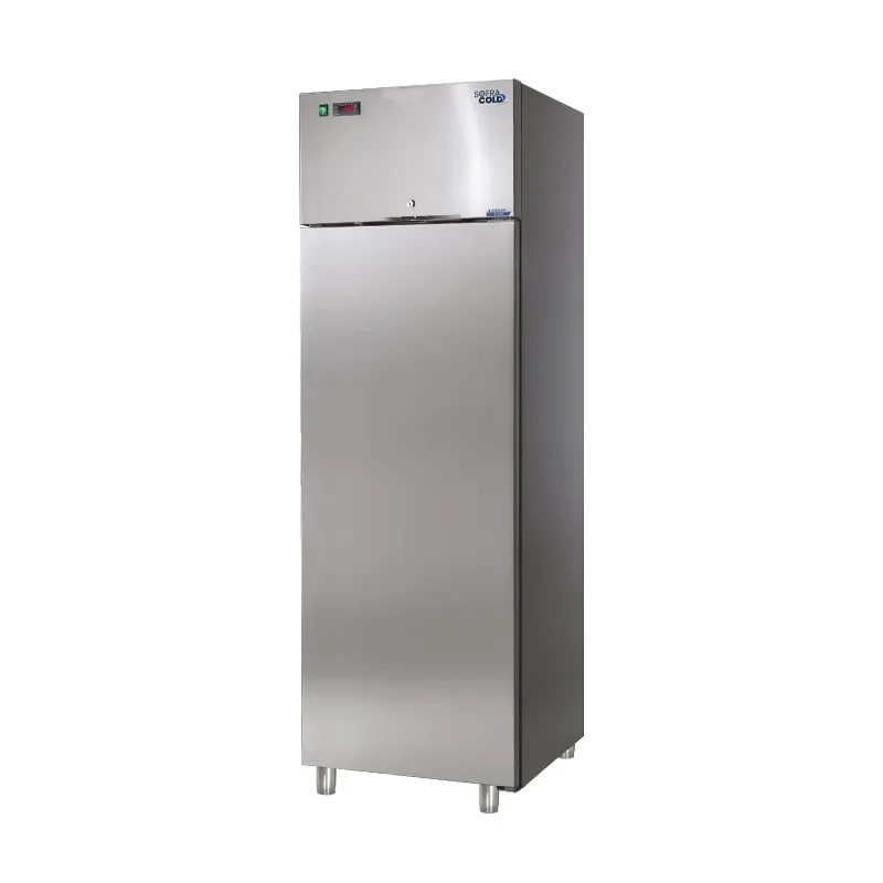 Armoire positive professionnelle inox avec groupe monobloc tropicalisé - 270 litres - gaz r455a Prix Promo