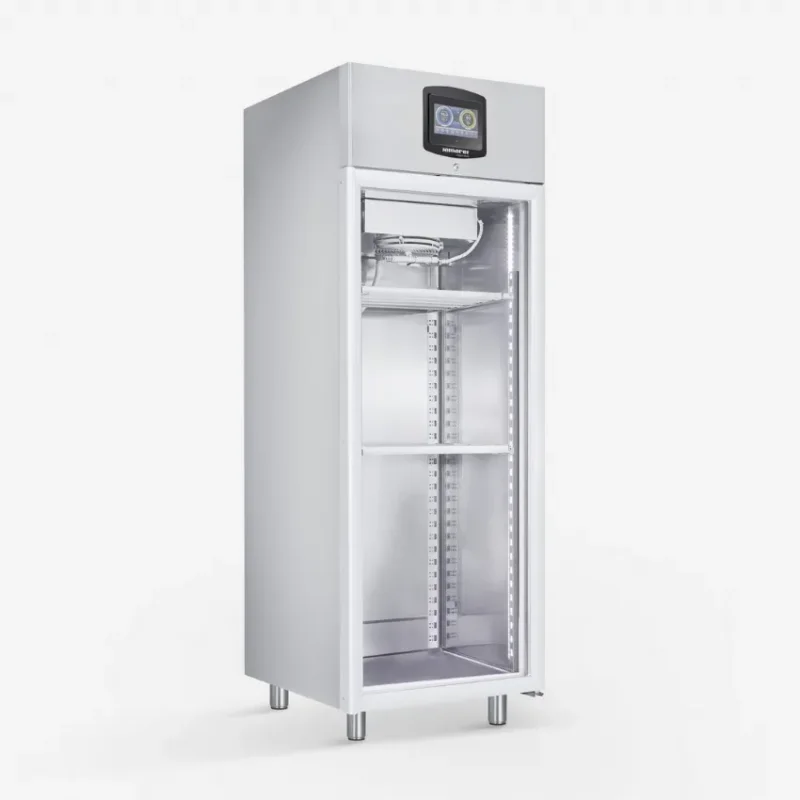 Usine Directe Armoire de maturation à barre de suspension porte vitrée en inox avec connexion r452 - 606 l