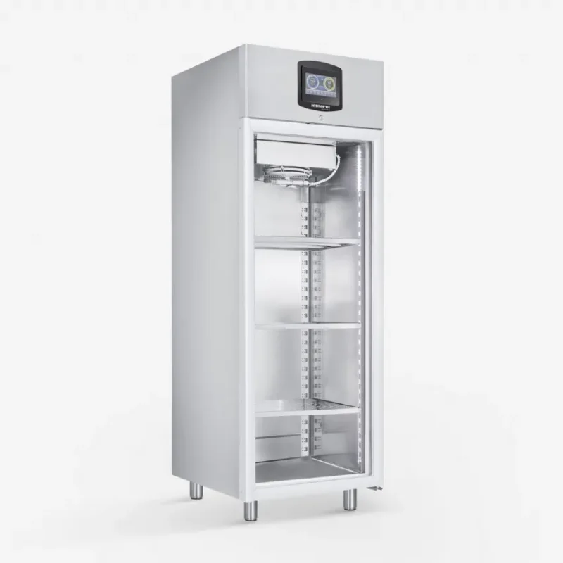 Jusqu’à Épuisement Des Stocks Armoire de maturation à glissières porte vitré en inox avec connexion r452 - 606 l