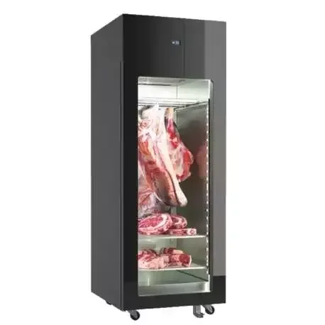 Promotion Saisonnière Armoire réfrigérée de maturation de viande 0/+4°c avec 2 niveaux