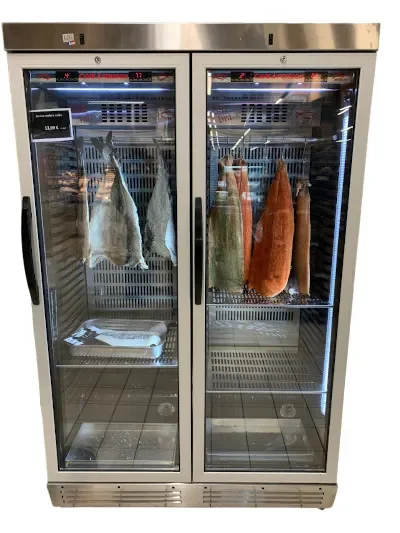 Vente Flash Cave de conservation poissons fumes 0/+6°c avec 2 portes vitrées - 1200x600x1900 mm