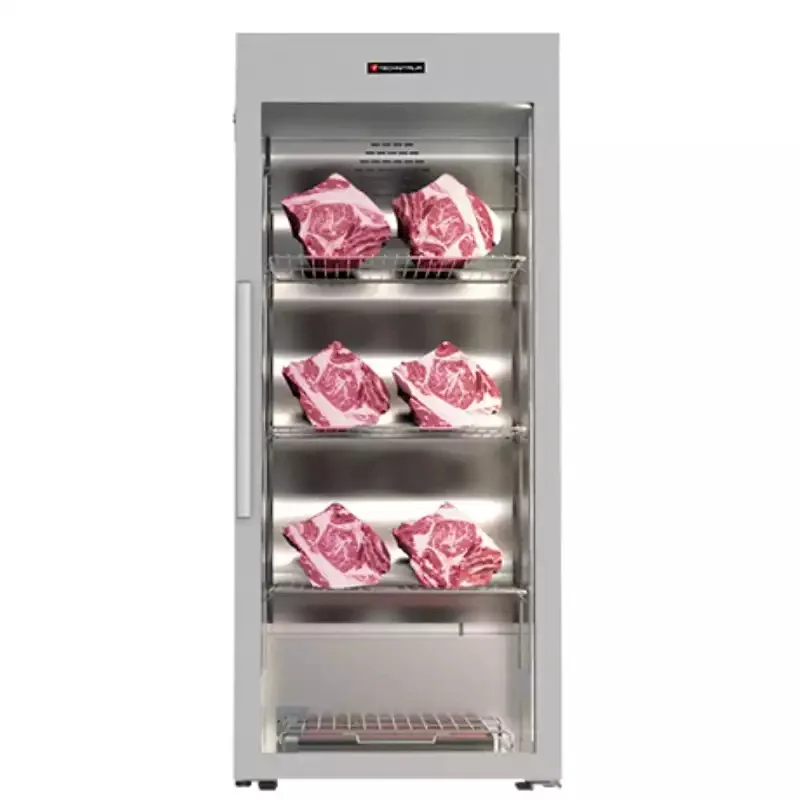 Expédié Aujourd’hui Armoire de maturation 1 porte vitrée 500L TECHNITALIA