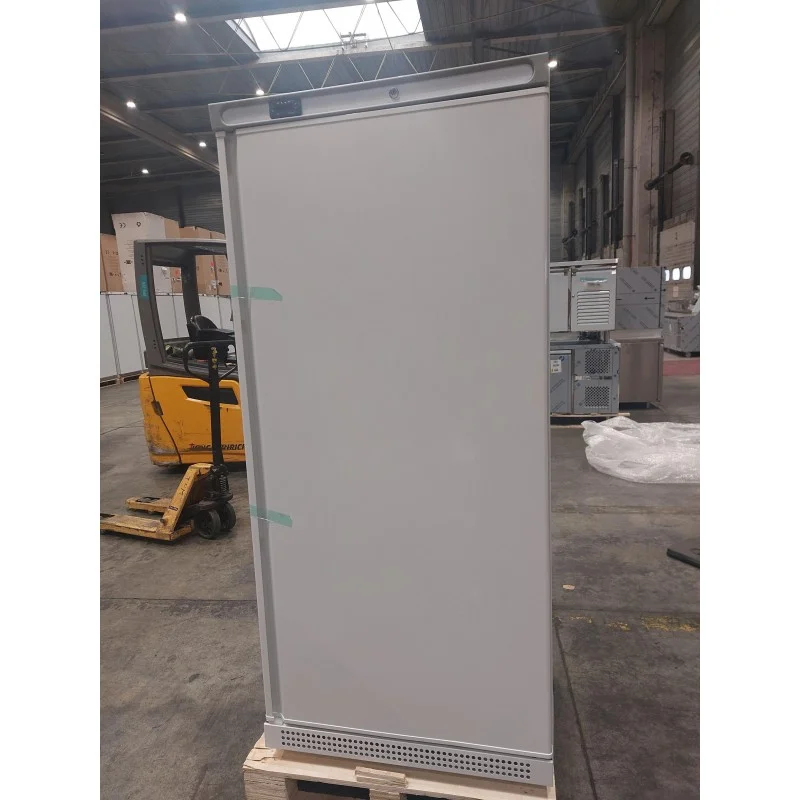 Commande En Gros Armoire réfrigérée négative - 520 L FURNOTEL
