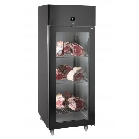 Armoire de maturation 1 porte vitrée 600 litres NOSEM Commande En Gros