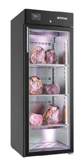 Armoire de maturation 1 porte vitrée 340 litres INFRICO Dernière Chance